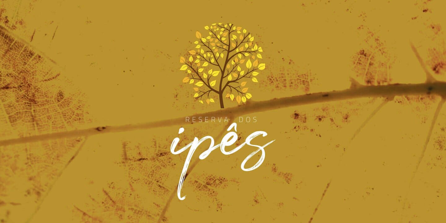 ipês