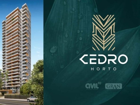 cedro